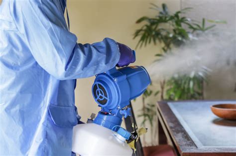 Fogging Testing service|disinfectant fogging service near me.